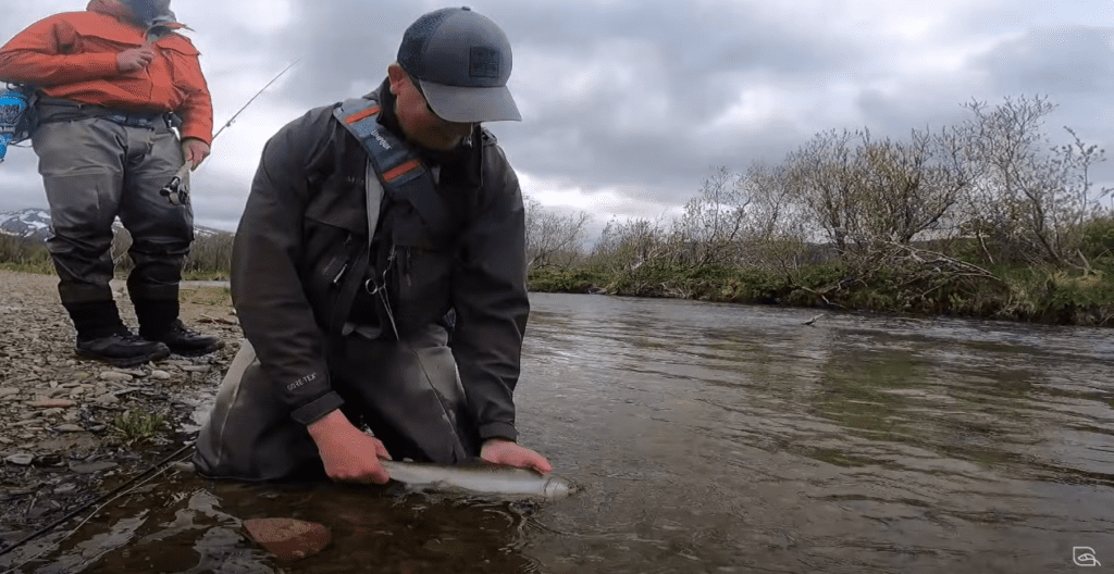 Fly Fishing for Arctic Char in Remote Alaska